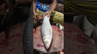 Fast Mrigal Fish Cutting Skills In Bangladesh Fish Market By Expert Cuttershorts [upl. by Bentlee]