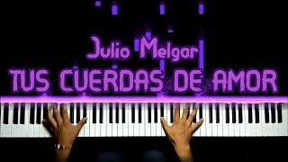 Julio Melgar  TUS CUERDAS DE AMOR  piano synthesia [upl. by Znieh]