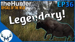 Fresh Start Ep36  theHunter Call of the Wild [upl. by Hinda226]