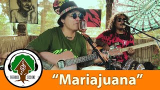 Mariajuana  by Bagani  Treehouse Sessions [upl. by Blinny]