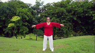 Heart centered Qigong  5 Minutes a Day [upl. by Nolyaw]