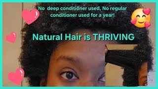 Only using a leavein conditioner for a year No deepregular conditioner hair haircare natural [upl. by Eicnan]