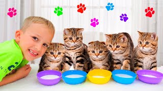 Vlad and Niki play with Kittens  Funny stories for kids [upl. by Auod]