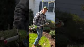 What’s your favorite tool for edging garden beds landscaping lawncare greenwichct [upl. by Ahsined]