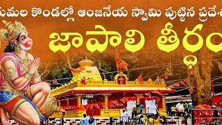 Japali Therdham Hanuman Temple in Tirumala  CityVlogs [upl. by Jean-Claude]