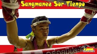 Sangmanee Sor Tienpo quotMillion Dollar Babyquot Highlight [upl. by Spiegleman]