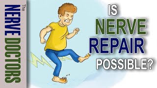 Is Nerve Repair Possible  The Nerve Doctors [upl. by Akenot]