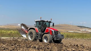 Massey Ferguson 8S265 Tarla Sürümü Toprak Çok Zorlu  Oluzlu Tarım [upl. by Sergeant]