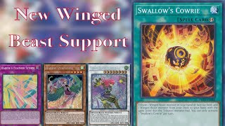 Swallows Cowrie Harpies February 2024  Yugioh Deck Showcase [upl. by Juno]