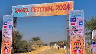 Camel Festival Raisar Bikaner 2024 Rajasthan [upl. by Roumell]