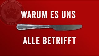 Der neue Waffengesetz Entwurf in 10 Minuten Alles was du wissen musst [upl. by Lennej511]