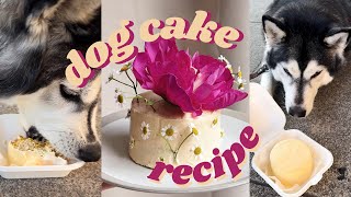 easy pumpkin dog cake recipe 🐶🎂 [upl. by Nivri]