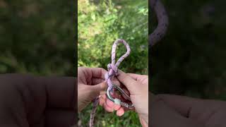 Whoa Everyones Super Easy Truckers Hitch usefulknot tips knot shorts [upl. by Torrance296]