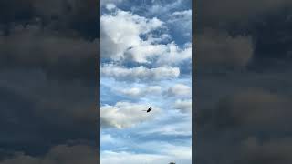 Chinook in Western North Carolina [upl. by Alicec104]