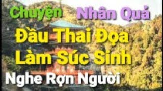 5 Chuyện Nhân Quả hay nhất  Đầu Thai Đọa Làm Súc Sinh  Luân Hồi Chuyển Kiếp nghe rợn người [upl. by Hazlett771]