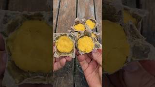 Waterproof fire starter made of wax and cotton survival lifehacks skills [upl. by Euqinomod]