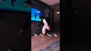 Penguins of Madagascar Dance  Three 6 Mafia [upl. by Adnoluy]