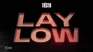 Tiësto  Lay Low Official Visualizer [upl. by Zoller]