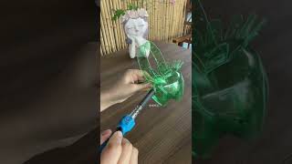 Beautiful design cut bottle plastic growing flowers so beautiful garden flowers plantingplan diy [upl. by Kristien]