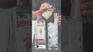 Classic Gin Rickey in 60 Seconds  Light amp Refreshing Cocktail [upl. by Aihsenet]