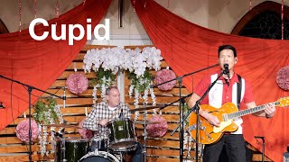 Cupid  Sam Cooke  live cover samcooke cupid coversong [upl. by Gwenneth]