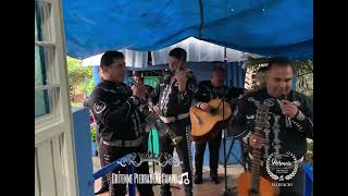 Mariachi Herencia De Villa  Grítenme Piedras Del Campo [upl. by Harrison]