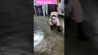 Pink panda funny baby funny panda [upl. by Eirellav]