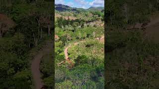 Finca Monte Fresco • Subirana Yoro [upl. by Elmo]