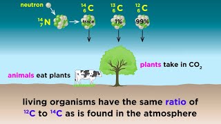 Radiometric Dating Carbon14 and Uranium238 [upl. by Sabella]