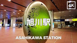 Asahikawa Station Hokkaido Japan 4K  北海道 旭川駅  Feb 2023 [upl. by Maurise]