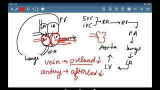 ANTIHYPERTENSIVE DRUGS PART 2 PHARMACOLOGY LECTURE [upl. by Assirrac]