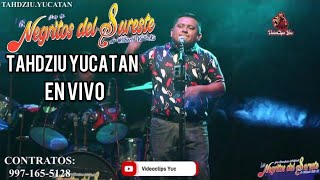 Los Negritos Del Sureste En Vivo Desde Tahdziu Yucatan 2024 cumbias Del Sureste [upl. by Natsyrk]