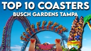 Top 10 Roller Coasters at Busch Gardens Tampa Bay 2024 [upl. by Hgielyak362]