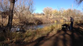 Fishing Boulder Creek and Sawhill Ponds [upl. by Teodoor]