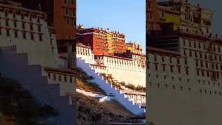 The Great Potala Palace in Tibet travel tibetanmonastery potalapalace lhasa tibet Palace [upl. by Donnie]