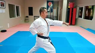 Junro Shodan  slow movent by EJ Kapawen  Kap Karate [upl. by Kit]