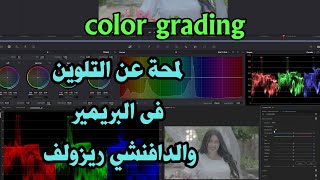 Color Grading لمحة عن التلوين فى الأدوب بريمير والدافنشي ريزولف [upl. by Rogerg446]