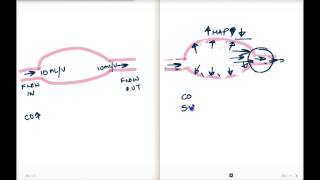 Mean Arterial Pressure Vz Total Peripheral Resistance [upl. by Phox188]