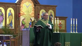 The Holy Spirit Is Not A Pet  Fr Kirbys Homily [upl. by Theola]