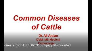 Pictorial Characteristics of Common Diseases of Cattle [upl. by Gena861]