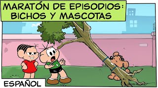 Maratón de episodios  Bichos y Mascotas ¡UNA HORA de vídeo  Mónica y sus Amigos [upl. by Shaffert]