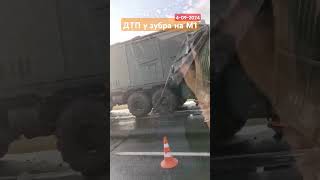 ДТП на трассе М1 в Барановичском районе у зубра Видео из соцсетей барановичи дтп авария [upl. by Adniled]