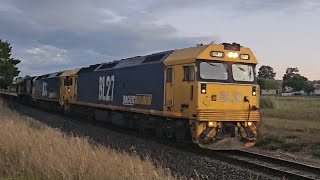 7733V PN empty wheat grain BL27 BL33 XR559 Geelong to Murtoa 2003 231024 Stawell VIC [upl. by Eniamrehs]