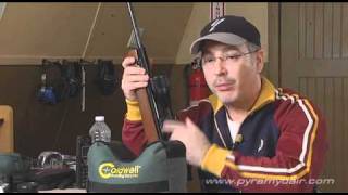 Beeman R7 air rifle  AGR Episode 57 [upl. by Annij]