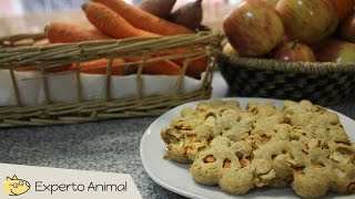 Galletas para perro de manzana y zanahoria  Premios caseros para perros [upl. by Niad]