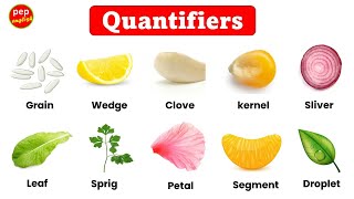 Quantifiers in English  Examples of quantifiers  Learn new English words  Quantifier words [upl. by Brad]