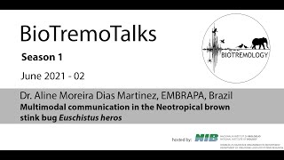 BioTremoTalks0302 Multimodal communication in the stink bug dr Aline Moreira Dias Martinez [upl. by Novyart575]