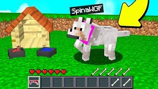 ANNA È DIVENTATA UN CANE PER 1 GIORNO SU MINECRAFT [upl. by Aikel]