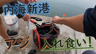 秋の内海でアジの入れ食いを楽しむ！ [upl. by Suivatco]