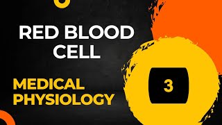 Red Blood Cells  RBC part3  Erythrocytes  blood physiology [upl. by Volotta]